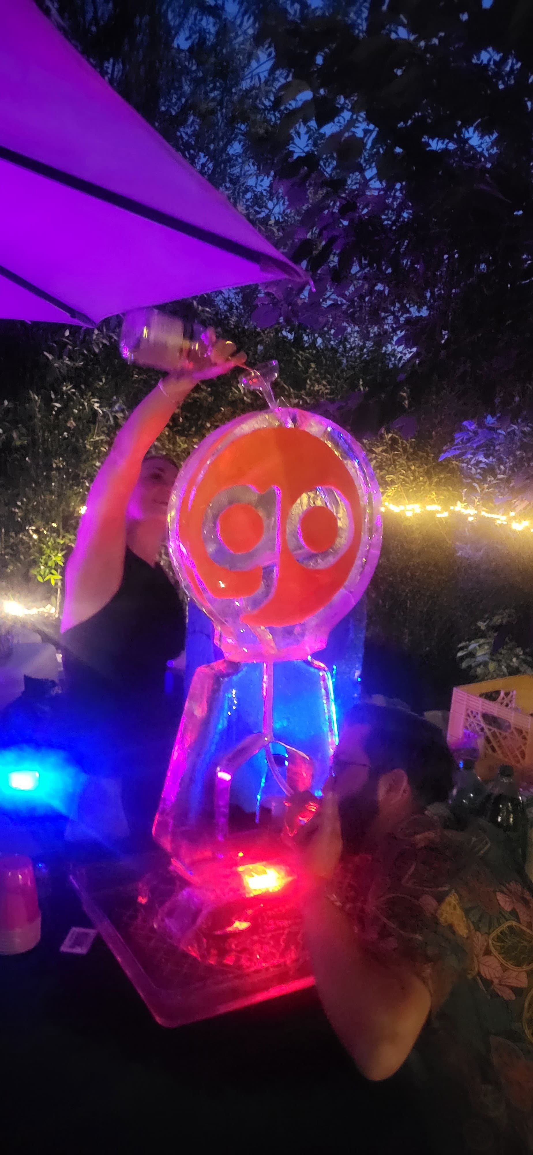 Custom ice sculpture luge